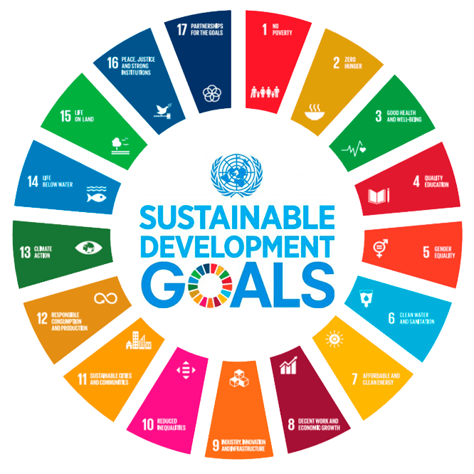 sustainable development goals objectives